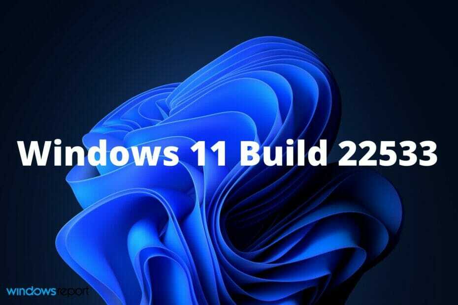 إليك ما يمكن توقعه في الإصدار 22533 من Windows 11 Build الجديد