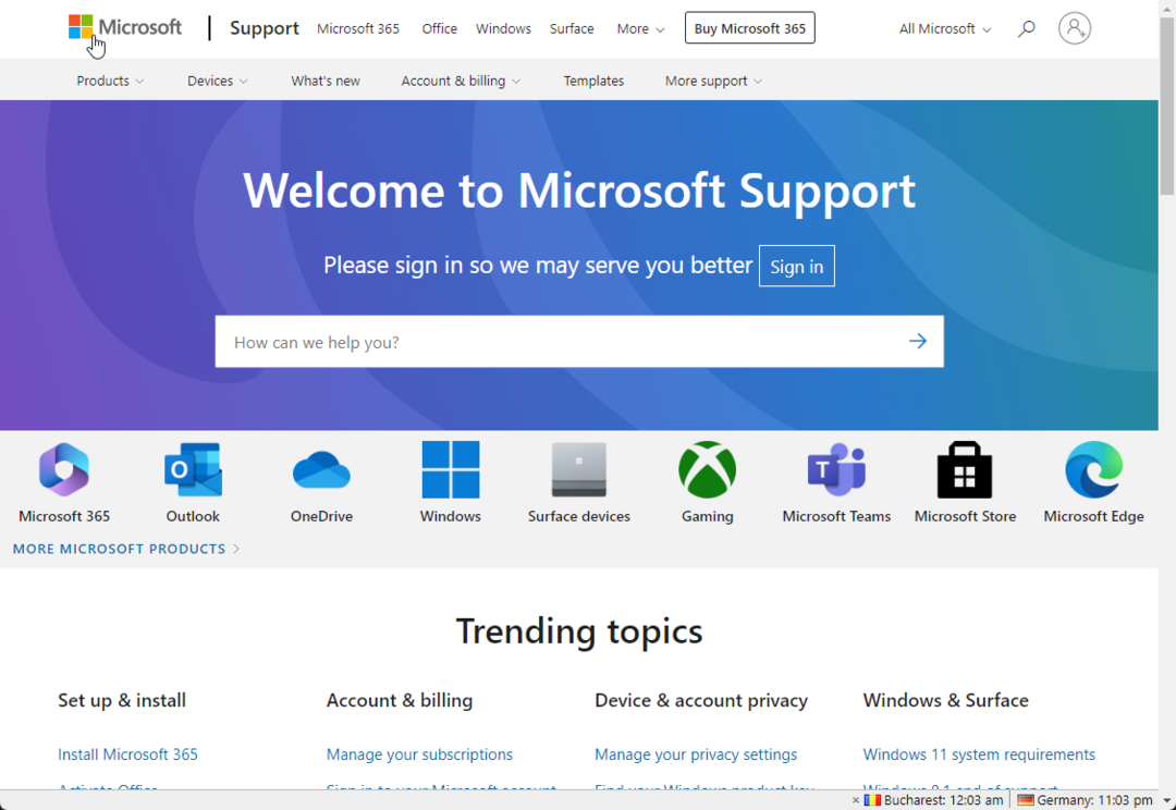 „Microsoft“ palaikymas. 