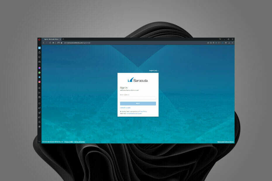 Feature-Bild Barracuda VPN für Windows 11