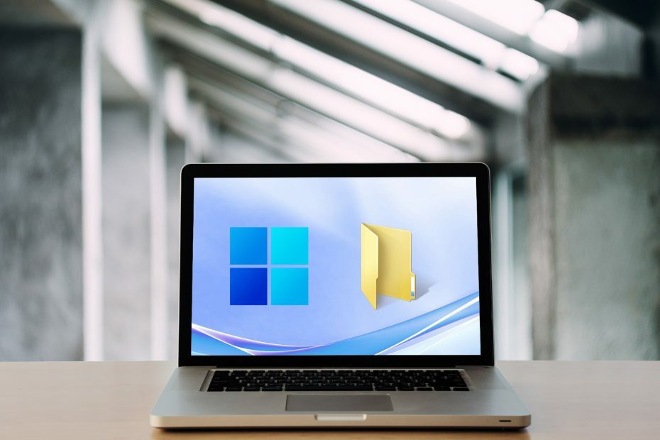 Opțiunea pentru fișiere și foldere ascunse în Windows 11