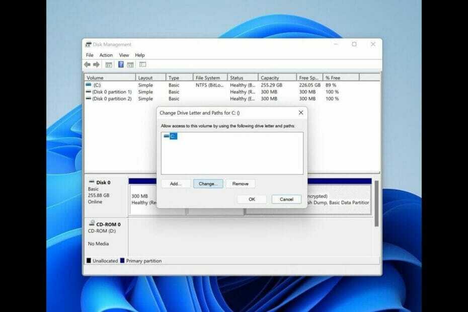 Finestra di gestione del disco di Windows
