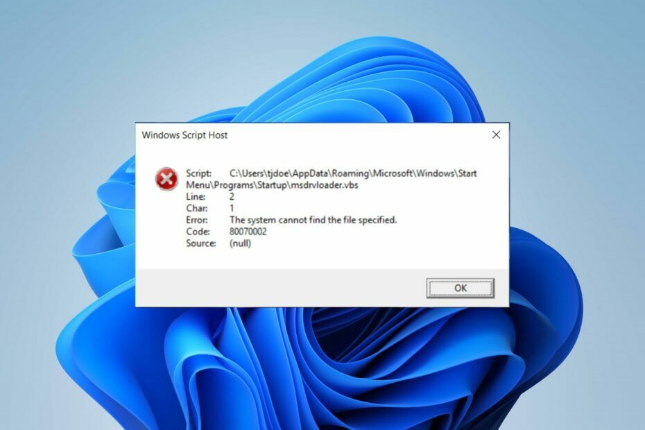 Windows-Skript-Hostfehler