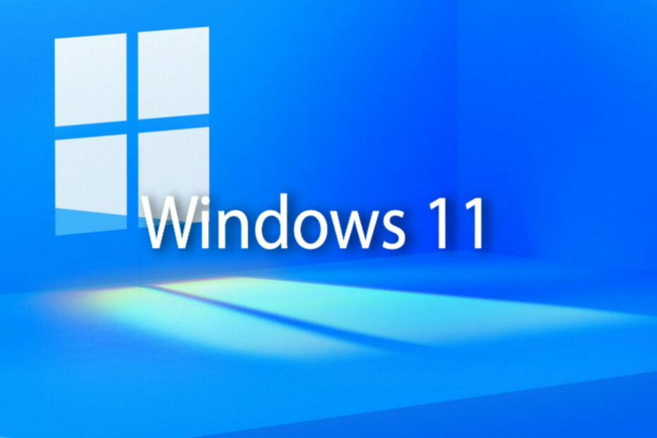 Windows 11로 가는 새로운 개인 정보 감사 기능