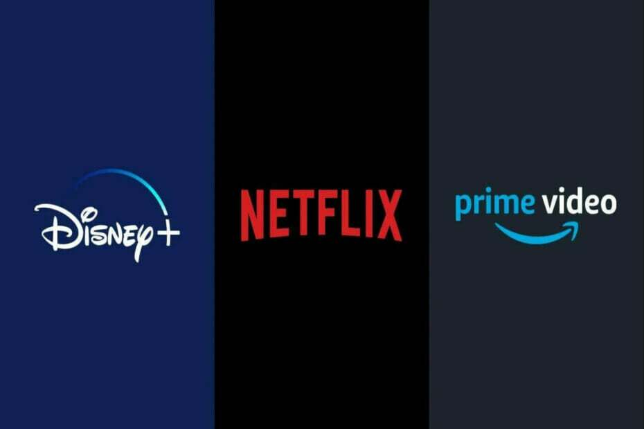 „Disney plus Netflix“ arba „Amazon Prime“.
