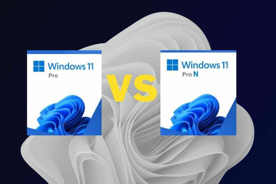 Windows 11 Pro vs Pro N: kumb on tööjaamade ja mängude jaoks parem?