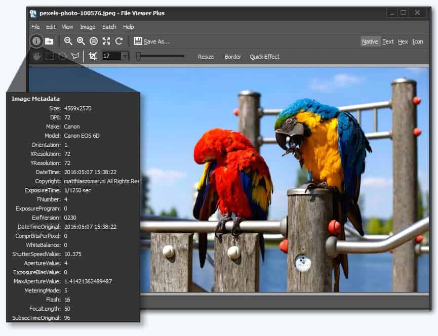 отворен изглед, редактиране и конвертиране на TGA файлове с Fileviewer Plus 2