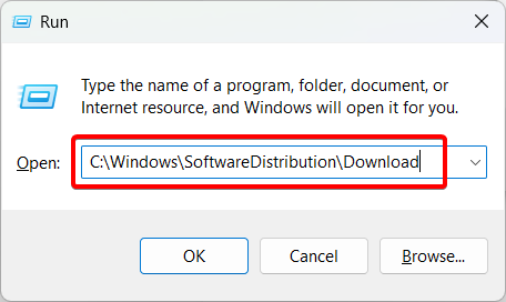C:\Windows\SoftwareDistribution\Download