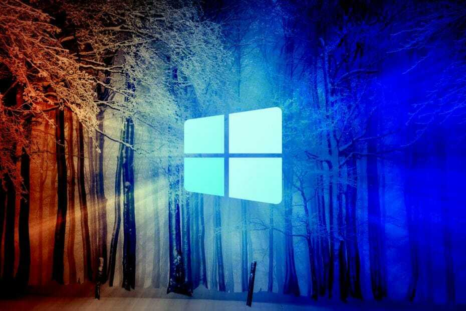 Windows 10 21H1-Version