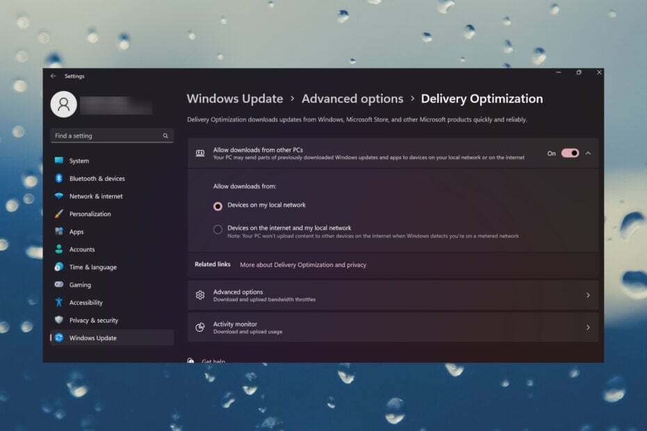 Windows 11'de Teslimat Optimizasyonu dosyaları nelerdir?