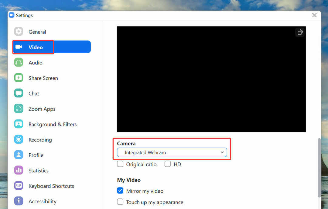 Kontrollige kaamera valikut, kui Zoom ei suuda Windows 11 10 kaamerat tuvastada