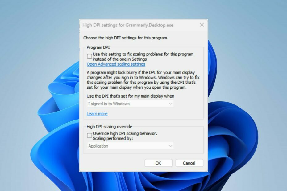 Windows 11 ölçekleme sorunları
