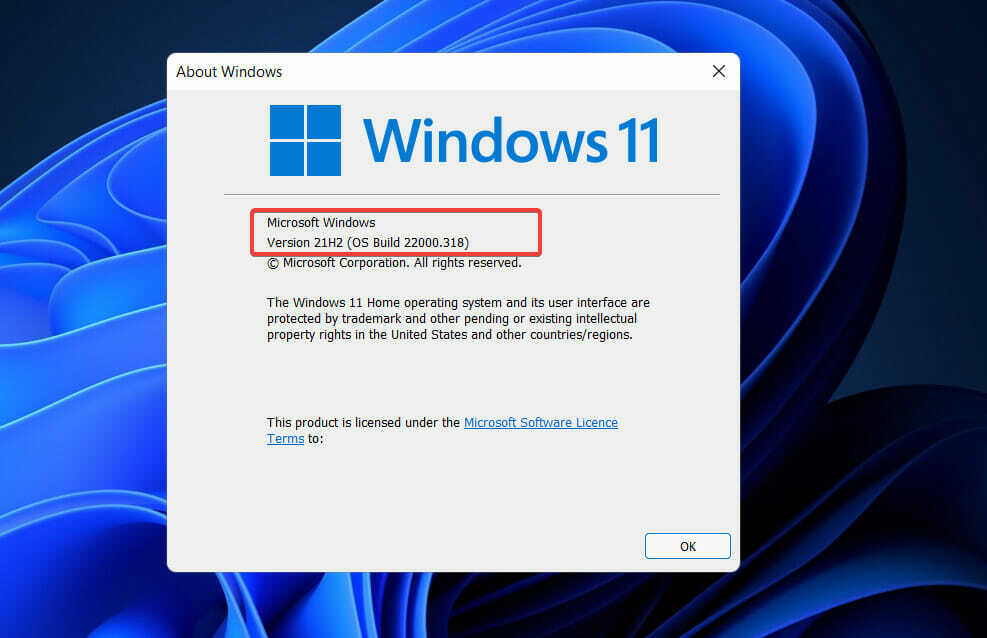 Microsoft-wersja dxgmms2.sys Windows 11