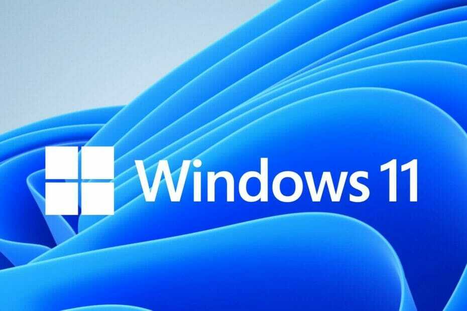 Windows 11에서 부드러운 전환 및 호환 가능한 앱 기대