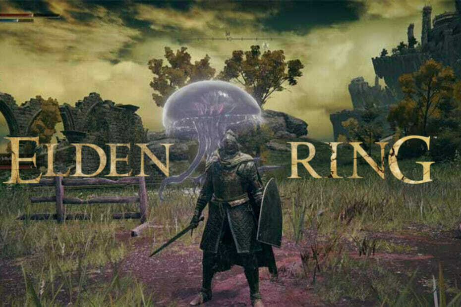[แก้ไข] Elden Ring: เรียกขี้เถ้าไม่ได้