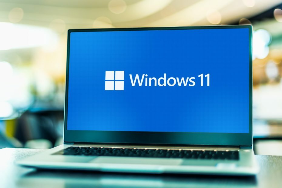 „Windows 11“ registras
