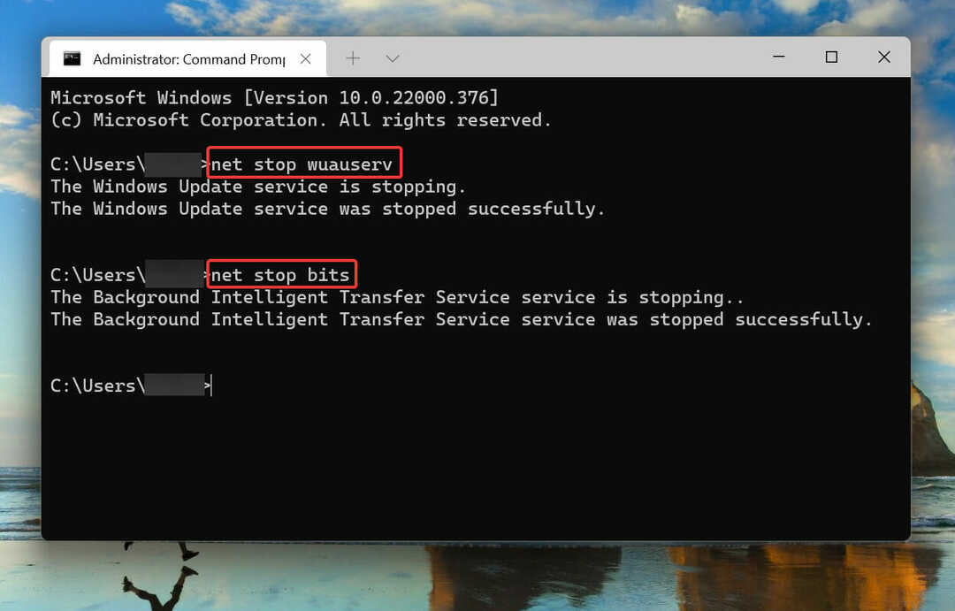 Zastavte službu Windows Update a BITS