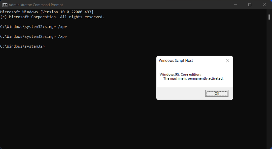 Korjaus: Windows 11:n aktivointivirhe 0xc004f213