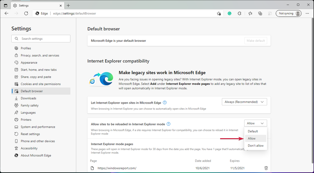 case à cocher autoriser le rechargement des sites dans Internet Explorer