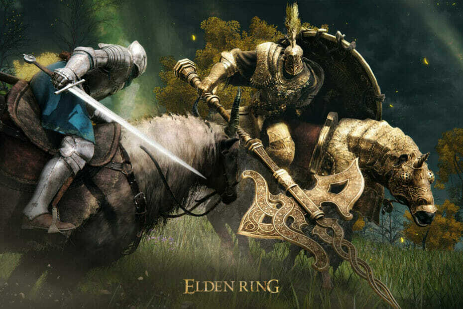 Elden Ring: Jak hrát s DirectX 11