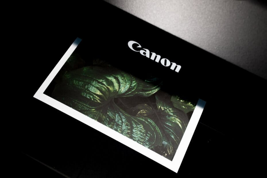 Tulostin ei tulosta mustavalkoa ilman värimustetta [Epson, Canon]