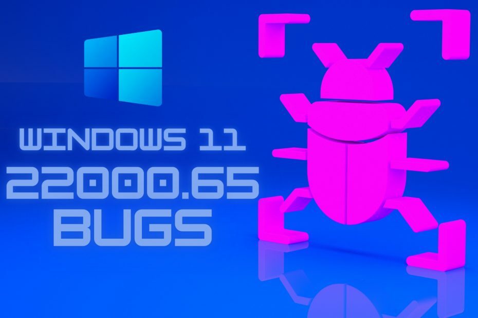 Dette er Windows 11 build 22000.65 bugs