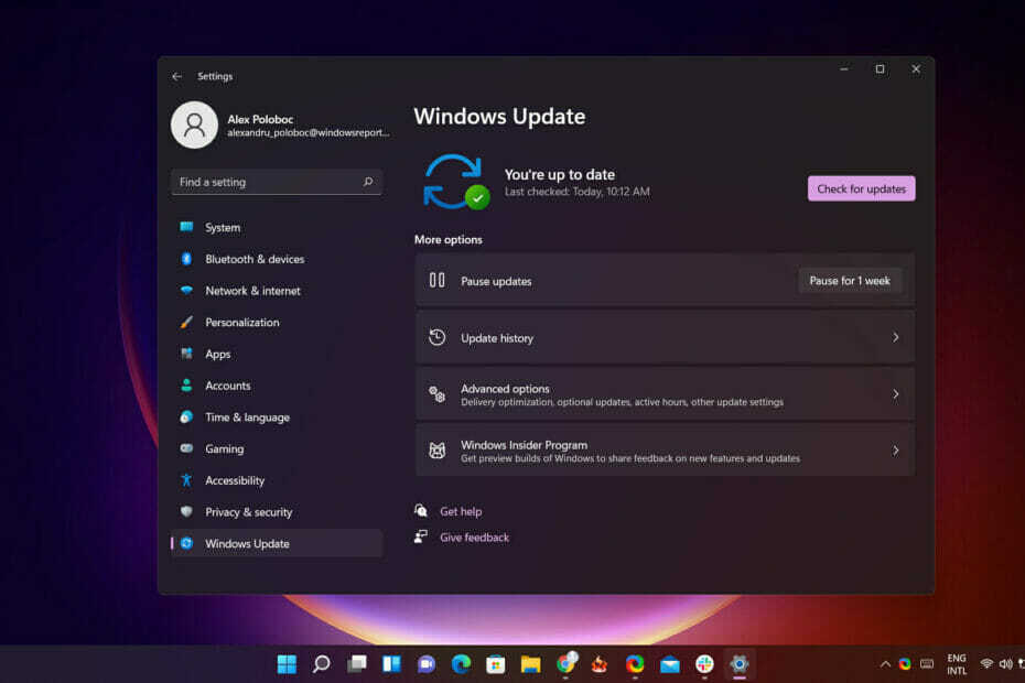 מבנה ה-22463 החדש של Windows 11 יוצא לאור עם שיפורים קלים בלבד