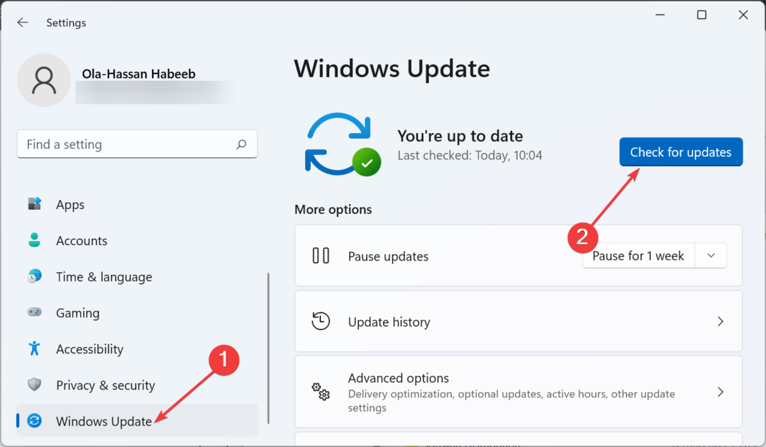 patikrinti naujinimus „Windows 11“ užduočių juostos perpildymas neveikia