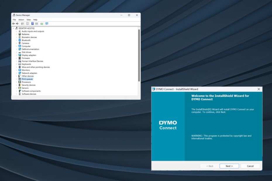 تحميل برامج تشغيل Dymo في نظام التشغيل Windows 11