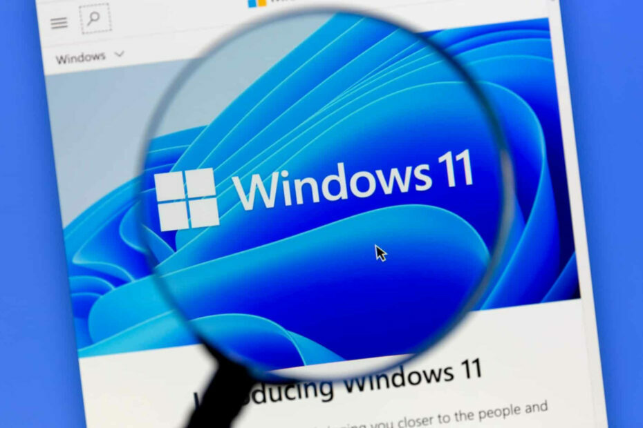 Windows 11 빌드 25284 VPN 문제에 대한 공식 해결 방법이 있습니다.