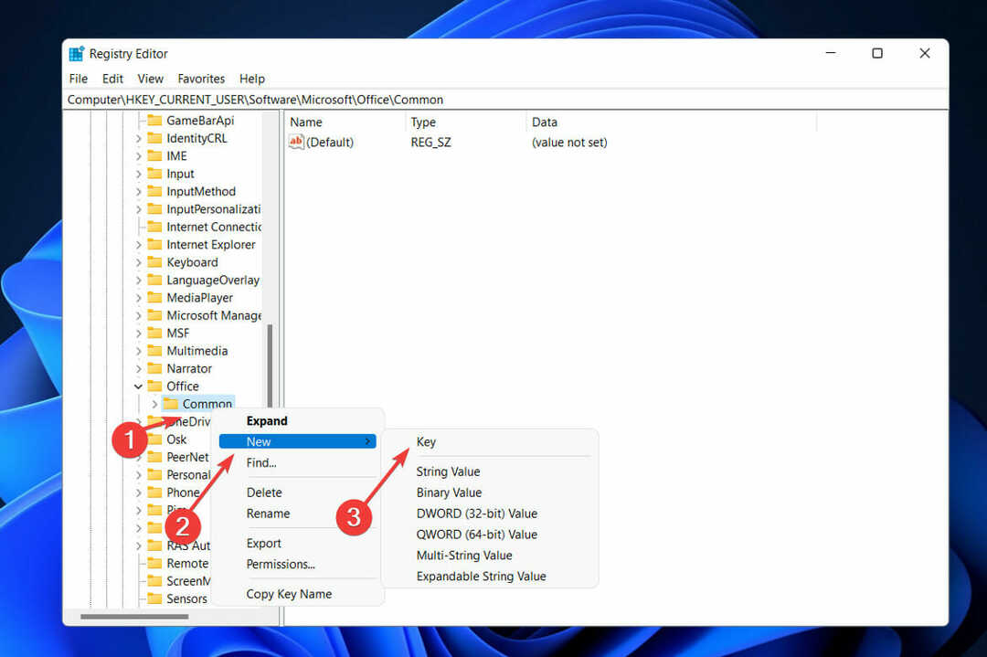 neuer gemeinsamer Schlüssel dwm.exe Windows 11