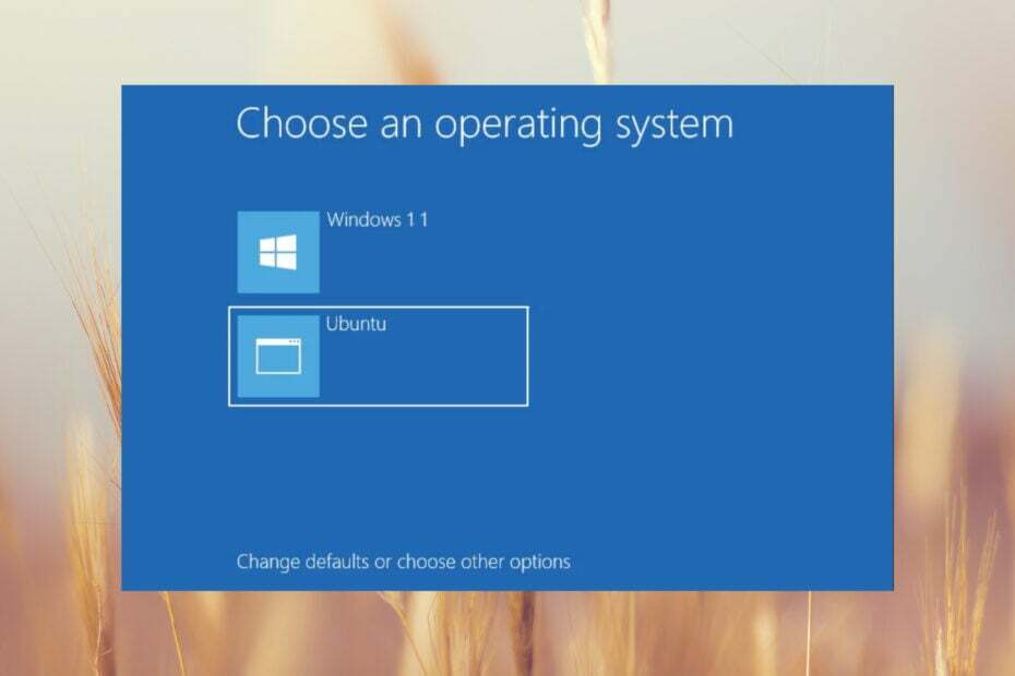 Kaip pašalinti „Ubuntu“ dvigubą įkrovą „Windows 11“.