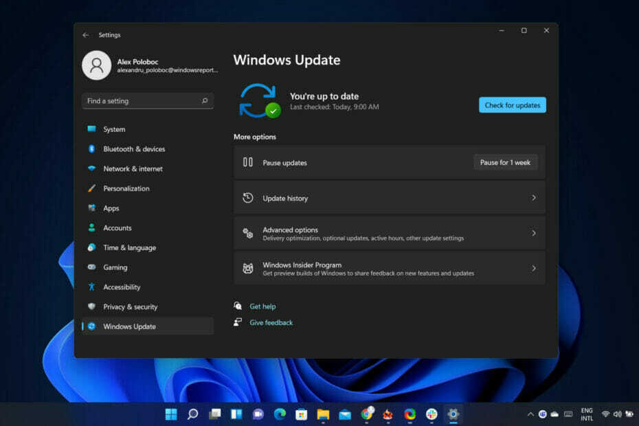 Windows 11 Dev builds worden minder stabiel, waarschuwt Microsoft