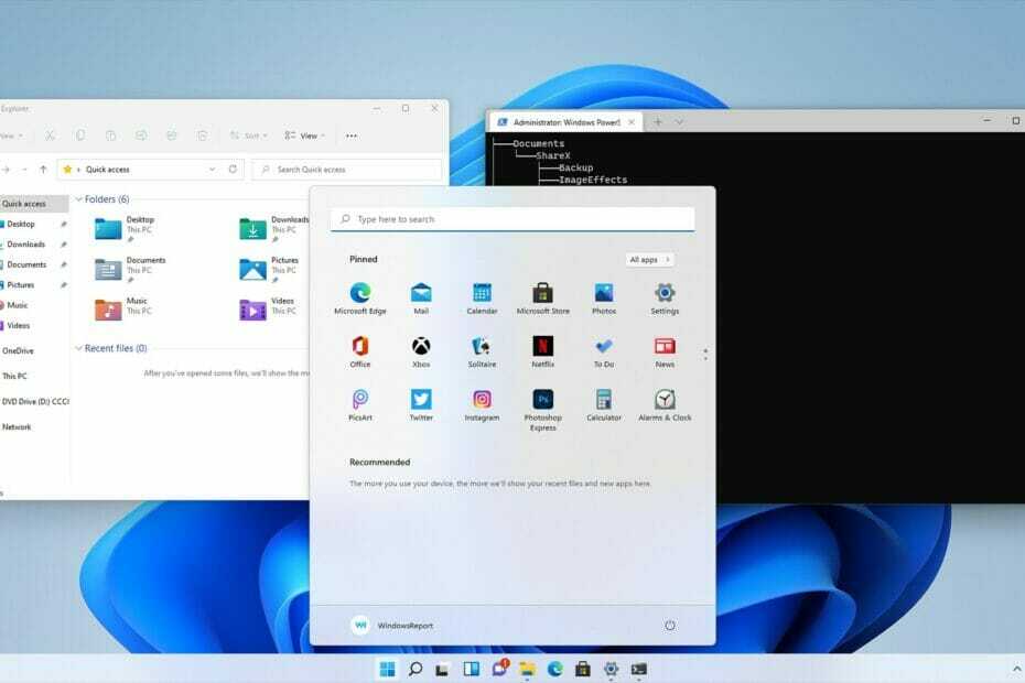 Windows 11 Wählen Sie den zu installierenden Treiber aus