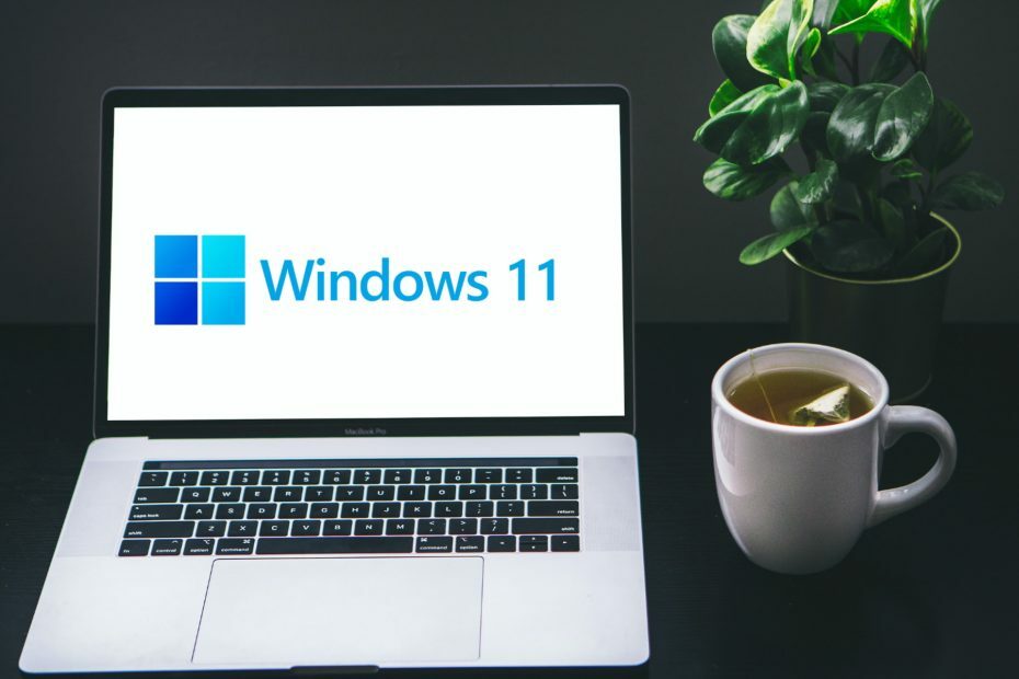 Draiverite käsitsi installimine Windows 11-s
