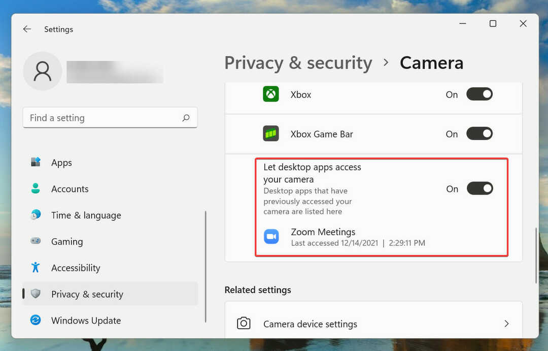Luba parandamise õigused Suum ei suuda Windows 10 11 kaamerat tuvastada