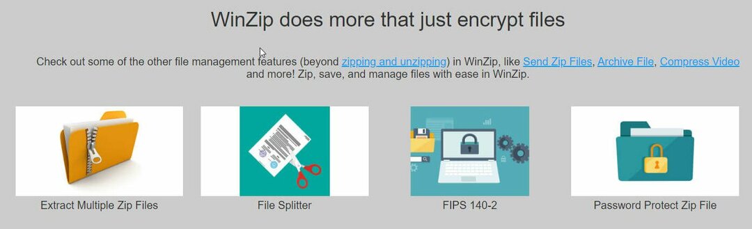 ZIP-tiedostojen suojaaminen salasanalla Windows 10: ssä [parhaat työkalut]