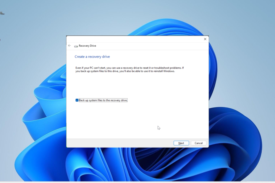 Windows 11 usb taastamine