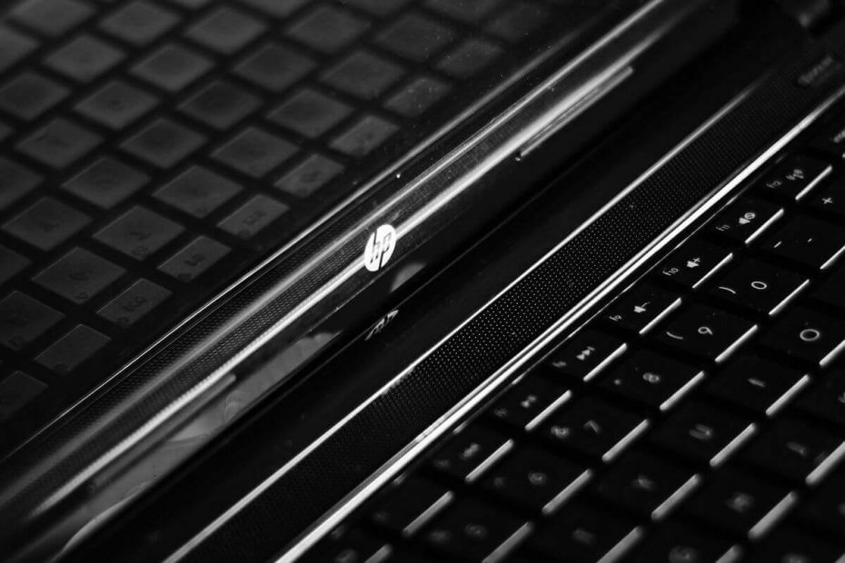 WerFault.exe windows 10 - close-up laptop HP