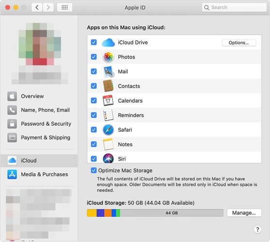 Apple-ID-Fenster iCloud-Laufwerk auf Mac zeigt nicht alle Dateien an
