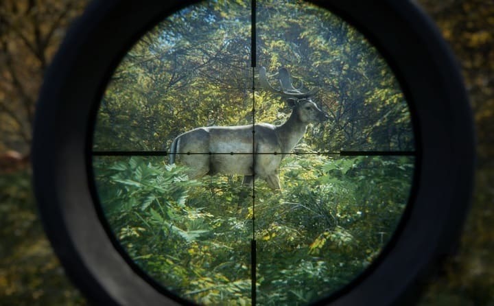 Os problemas do theHunter Call of the Wild apresentam um multijogador cheio de erros e animais invencíveis
