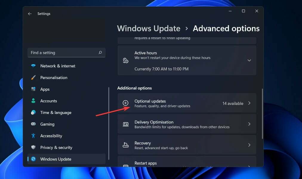 optionele updates kernelbeveiligingscontrole mislukt windows 11