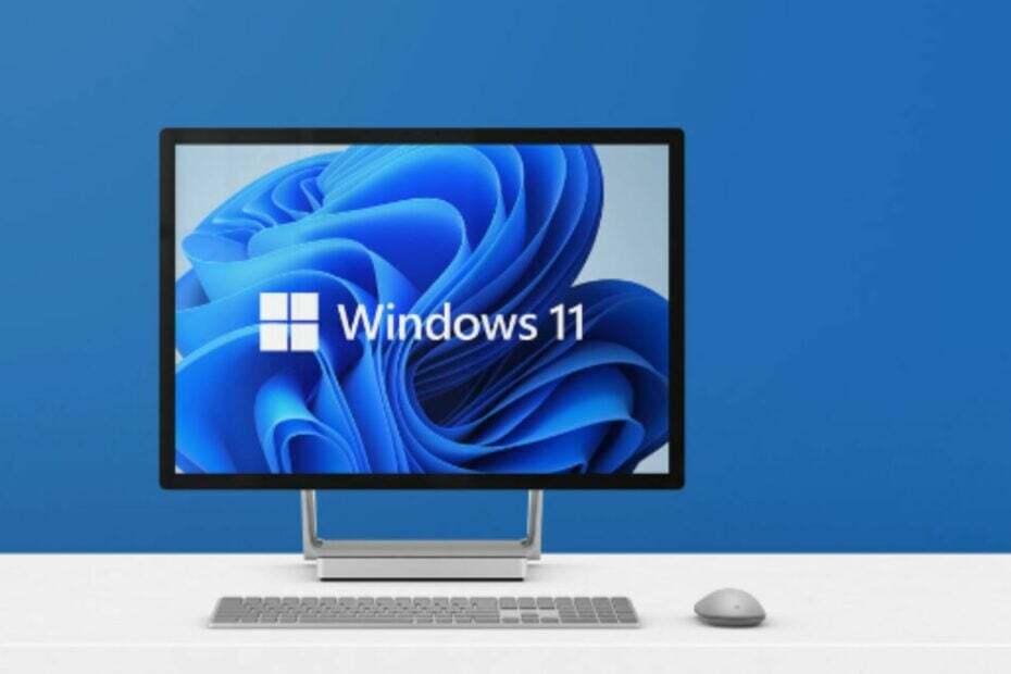 Windows 11-Reparatur