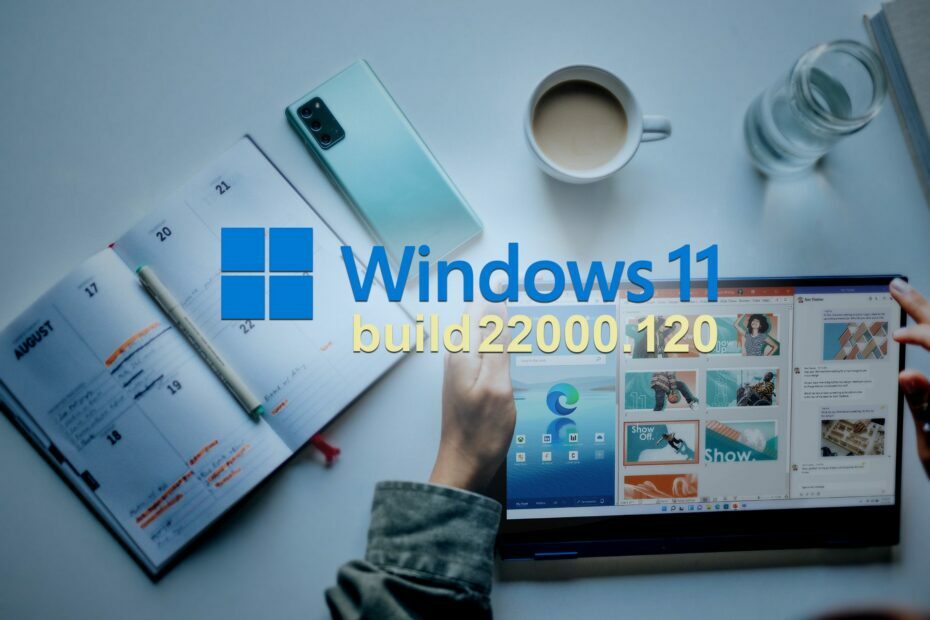 Windows 11 zostava 22000.120