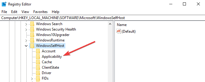 WindowsSelfHost anvendbarhet
