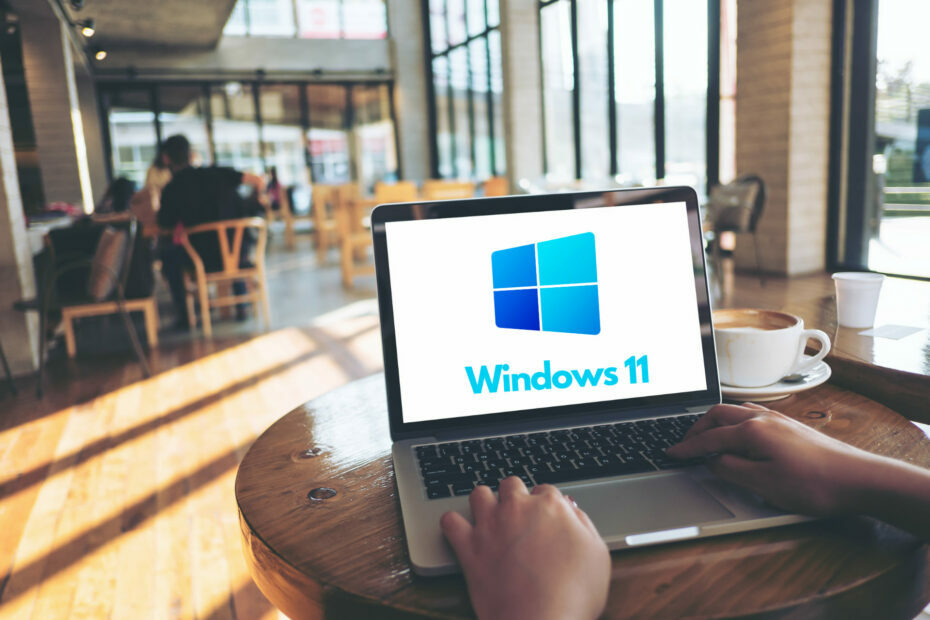 Die erste Beta-Version von Windows 11 ist voller böser Fehler