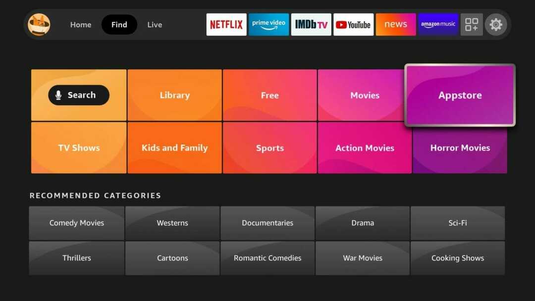 Amazon Fire TV neatver pārlūkprogrammas saites? Labojiet to tūlīt