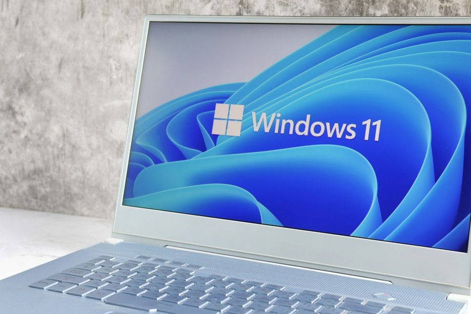 Windows 11-Sicherheit