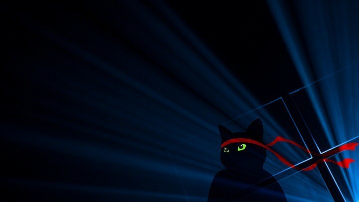 Atsisiųskite „Ninja Cat“ fono paveikslėlį, skirtą „Windows 10 Anniversary Update“