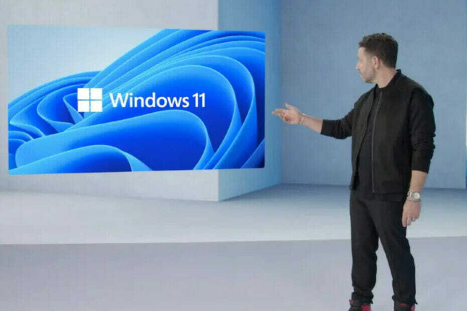 Windows 11 teadaolev probleem