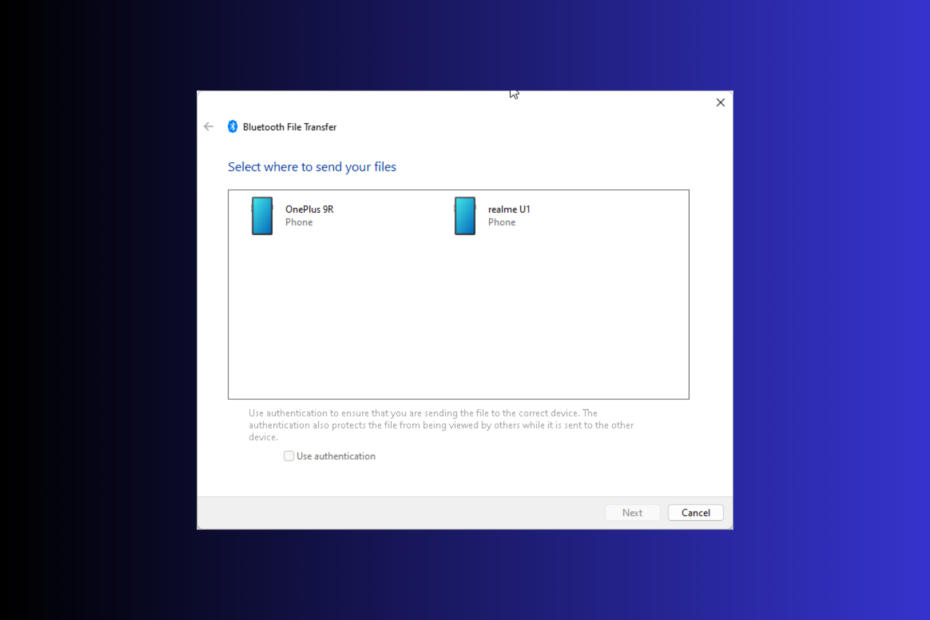 Dela filer över Bluetooth Windows